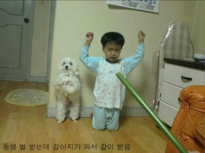 사람들이 강아지 키우는 이유.jpg | 인스티즈