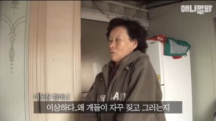 목숨을 구해준 강아지 | 인스티즈