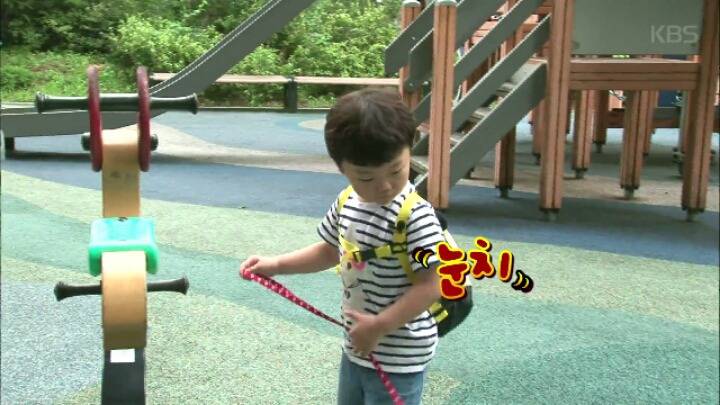 댕댕이 한테 미안해서 미끄럼틀 타러 못가는 대박이 ㅋㅋㅋJPG | 인스티즈