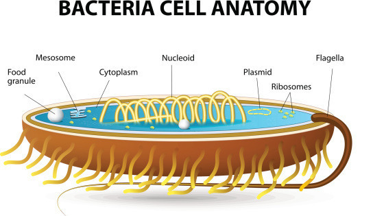 지구가 멸망하는 과정 | 인스티즈