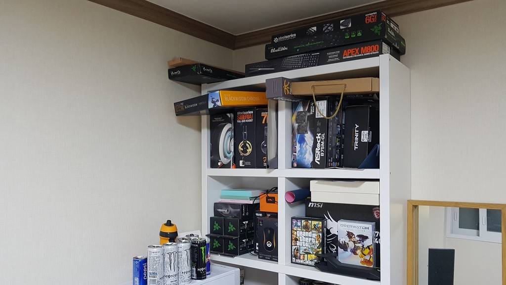 [오버워치] 모두를 울린 APEX 시즌2 참가팀의 장비ㅠㅠㅠㅠ | 인스티즈