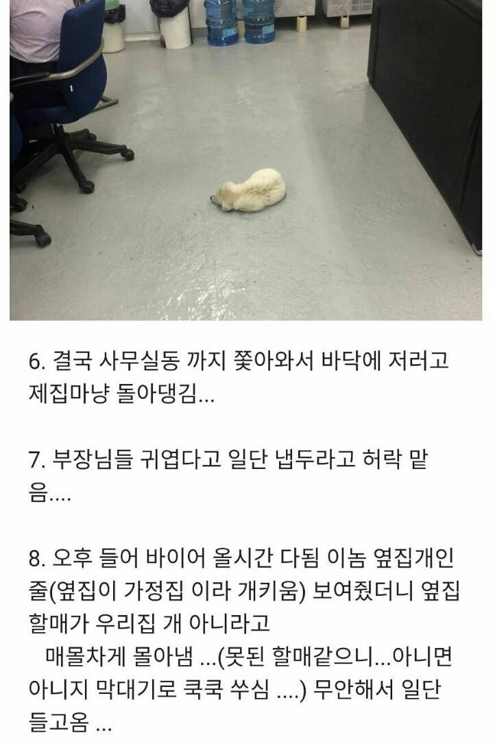 회사에서 개난처한 썰 | 인스티즈