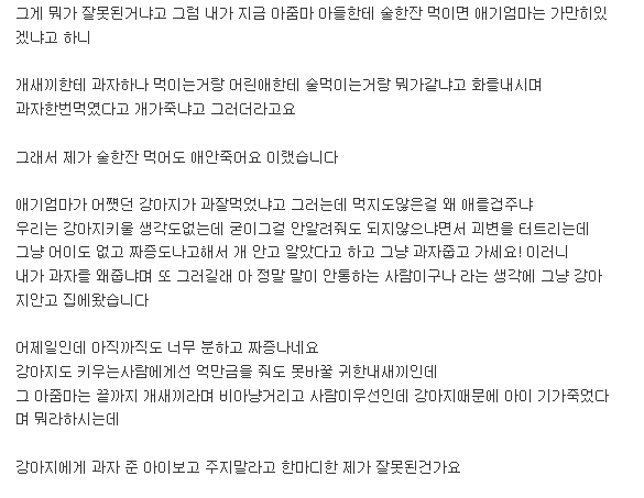 [미즈넷] 강아지에게 과자준아이 뭐라했다고 아이엄마랑 싸웠습니다 | 인스티즈