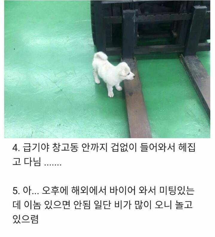 회사에서 개난처한 썰 | 인스티즈