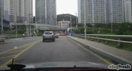 도로의 무법자.gif | 인스티즈