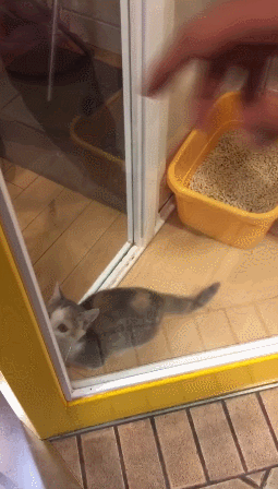 나를 데려가라 | 인스티즈