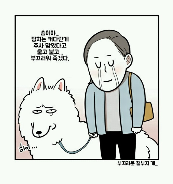 대형견 키우는 사람 공감 | 인스티즈