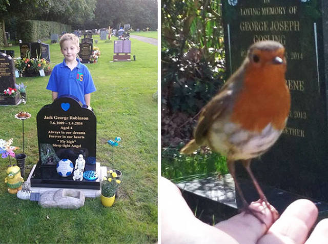 아들아.. 너니? | 인스티즈