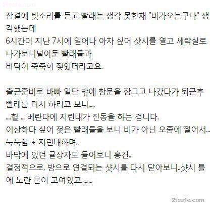 다시 보는 원룸 오줌 테러 사건 | 인스티즈