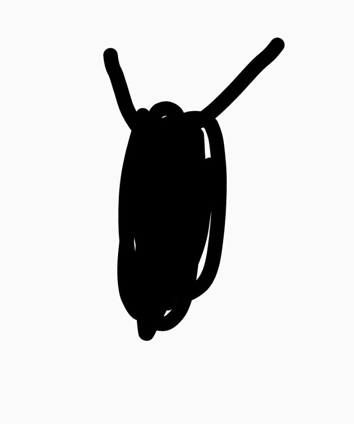 현재 방에 나타난다면 더 무서운것은 1 vs 2.jpg | 인스티즈