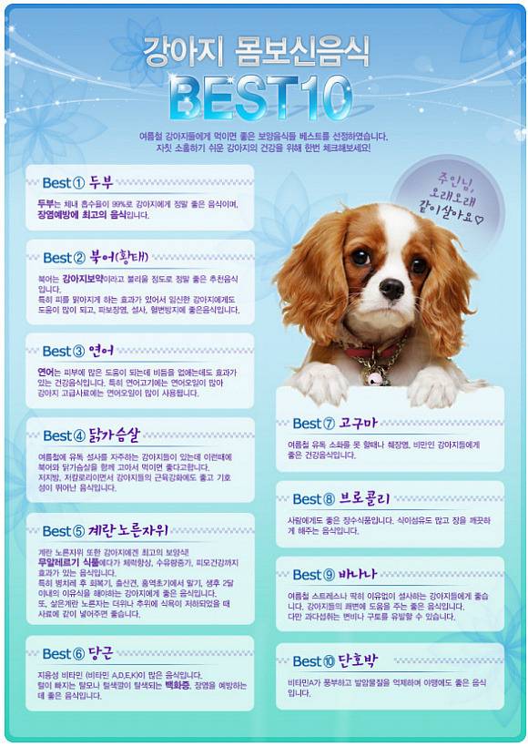 내가 모은 잡다한 정보들 데이터주의 | 인스티즈