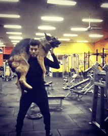 셰퍼드와 함께하는 스쿼트 | 인스티즈