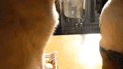 저기.. 지우개 좀.. | 인스티즈