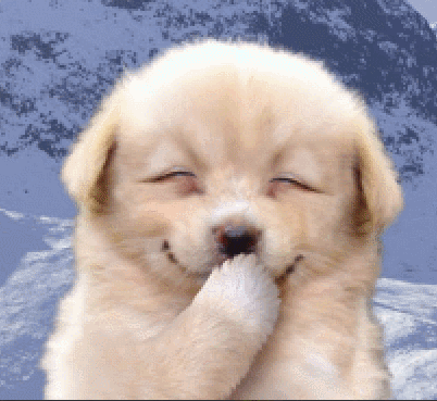 ioi 개죽이 | 인스티즈