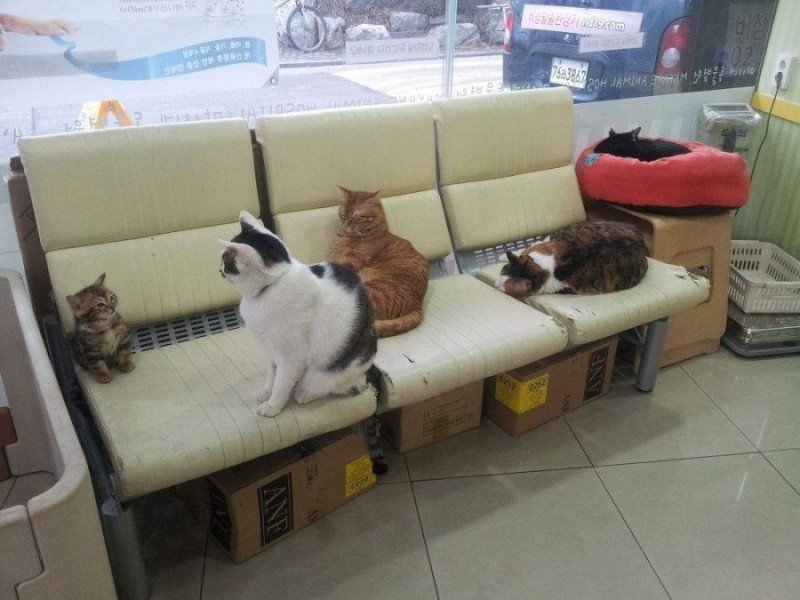 이일상병말 . jpg | 인스티즈