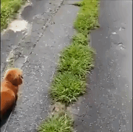 담화문 요약짤 GIF | 인스티즈