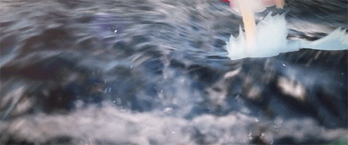 지브리 애니메이션 3D 버전 | 인스티즈