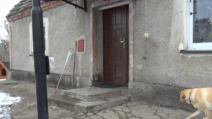 문좀열어주개 | 인스티즈