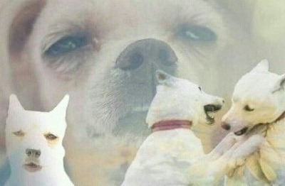 글쓴이를 힘빠지게 하는 댓글 유형 | 인스티즈