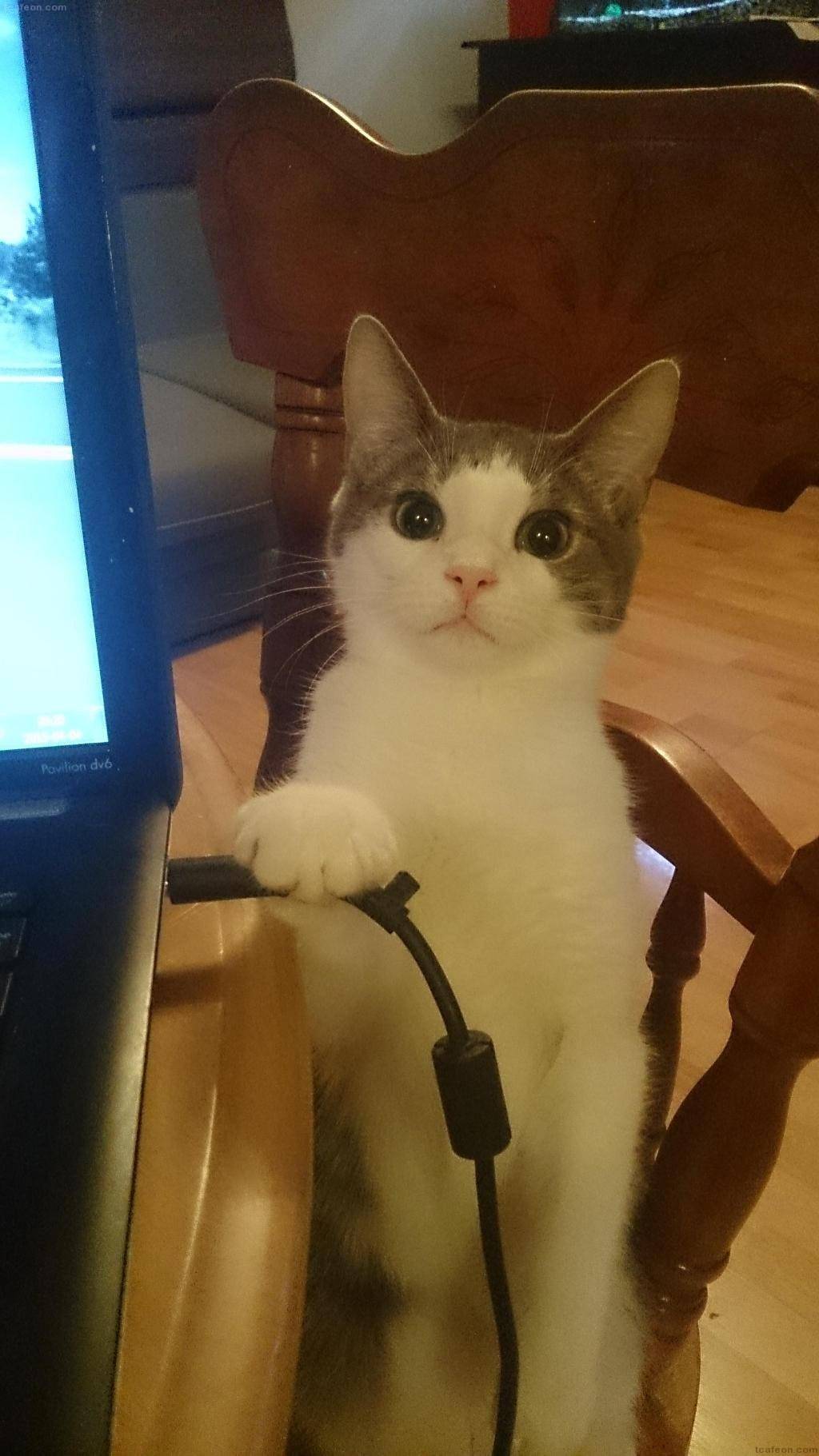 누나! 게임이야 나야?! | 인스티즈