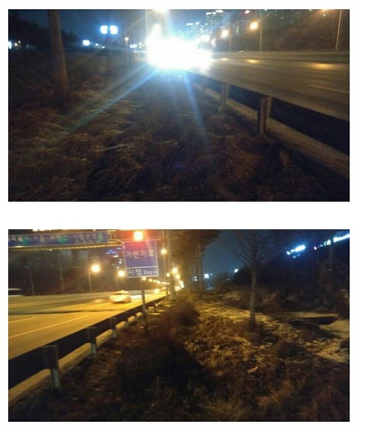 잠만보 잡으려다 강에 빠지고 경찰차탄 디씨인 | 인스티즈