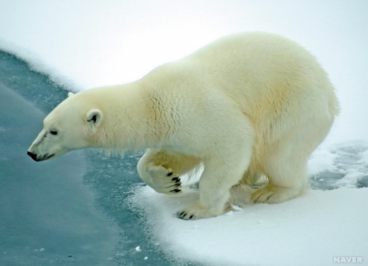 쉽게 이해하는 비타민에 관한 이야기 (1) | 인스티즈