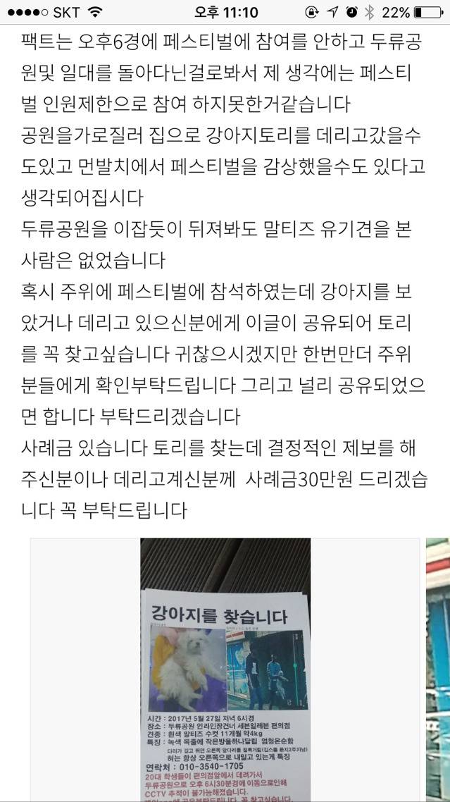 대구에서 남자 2명이 실수로 주인있는 말티즈를 데려갔대! 주인이 애타게 제보바라고있어! | 인스티즈