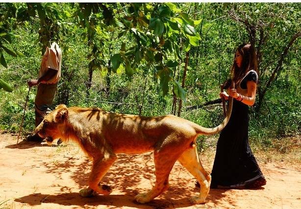 냥이와 산책.jpg | 인스티즈