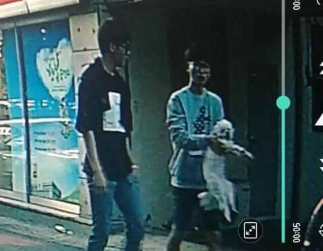 대구에서 남자 2명이 실수로 주인있는 말티즈를 데려갔대! 주인이 애타게 제보바라고있어! | 인스티즈