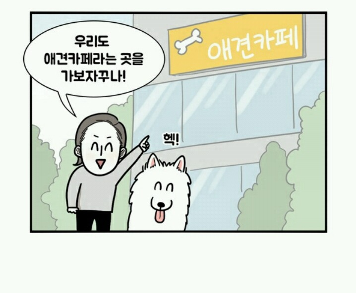 대형견 키우는 사람 공감 | 인스티즈