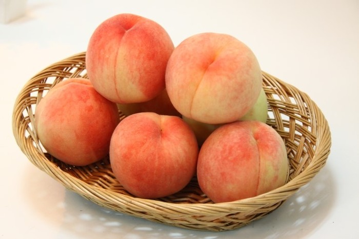  좀만 기다리면 먹을수 있는 과일들.jpg | 인스티즈