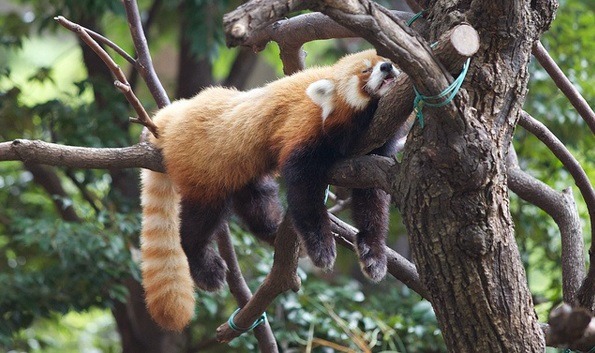 흉포함의 대명사 (잔인주의) | 인스티즈