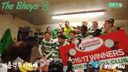 흔한 고래 크기.jpg | 인스티즈