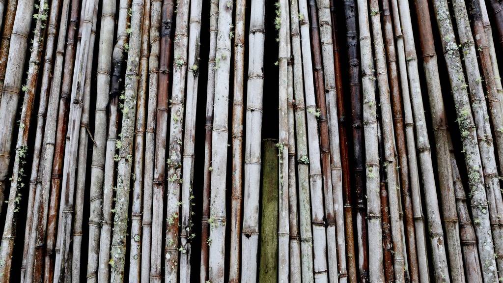 고해상도 컴퓨터 배경화면 72번 BGM 신해철-일상으로의 초대 | 인스티즈