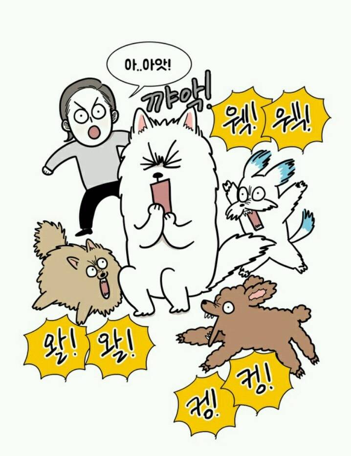 대형견 키우는 사람 공감 | 인스티즈