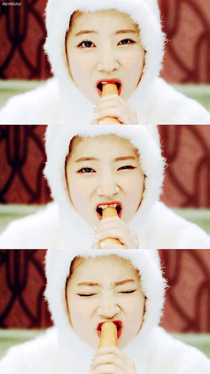 다현이 사진털이 (원스 어서오고) | 인스티즈