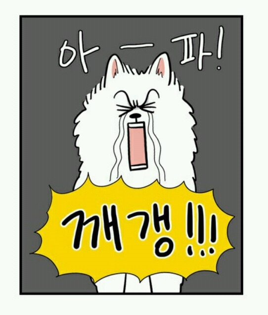 대형견 키우는 사람 공감 | 인스티즈