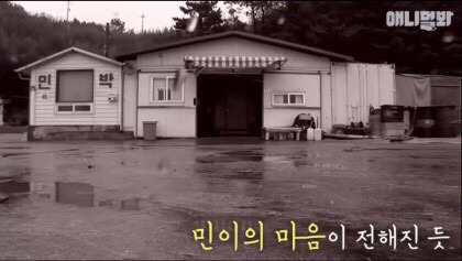 목숨을 구해준 강아지 | 인스티즈