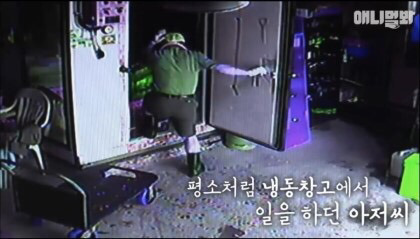 목숨을 구해준 강아지 | 인스티즈