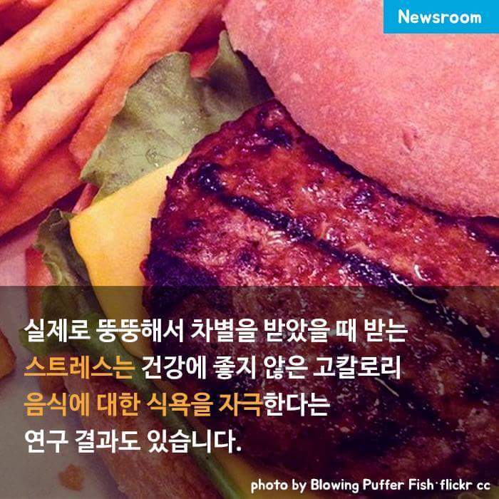 뚱뚱하다고 놀리지 마세요 | 인스티즈