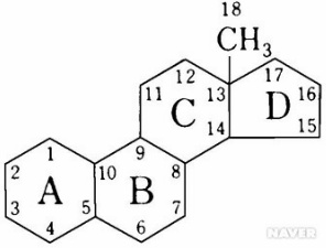 쉽게 이해하는 비타민에 관한 이야기 (1) | 인스티즈