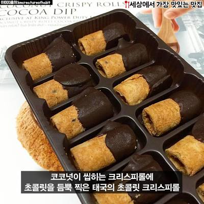 돼지력 테스트 | 인스티즈