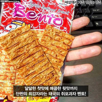 돼지력 테스트 | 인스티즈