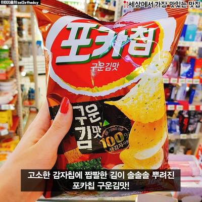 돼지력 테스트 | 인스티즈