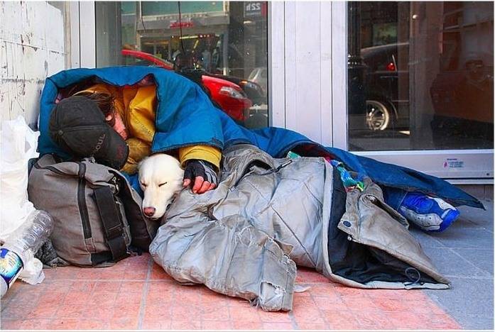 나의 능력과는 상관없이 나를 사랑하는 존재 | 인스티즈