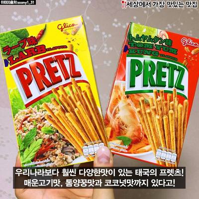 돼지력 테스트 | 인스티즈