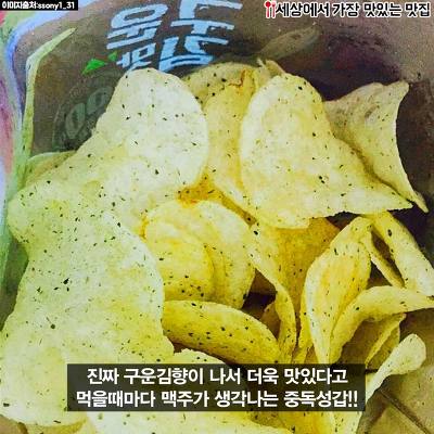 돼지력 테스트 | 인스티즈