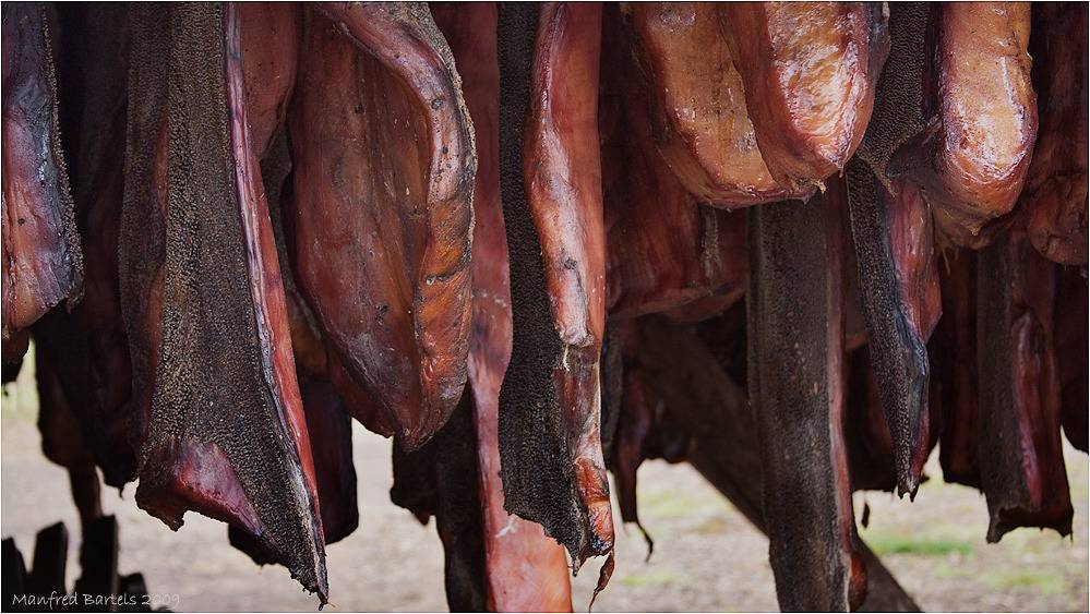 조금 무서운 음식들.jpg | 인스티즈