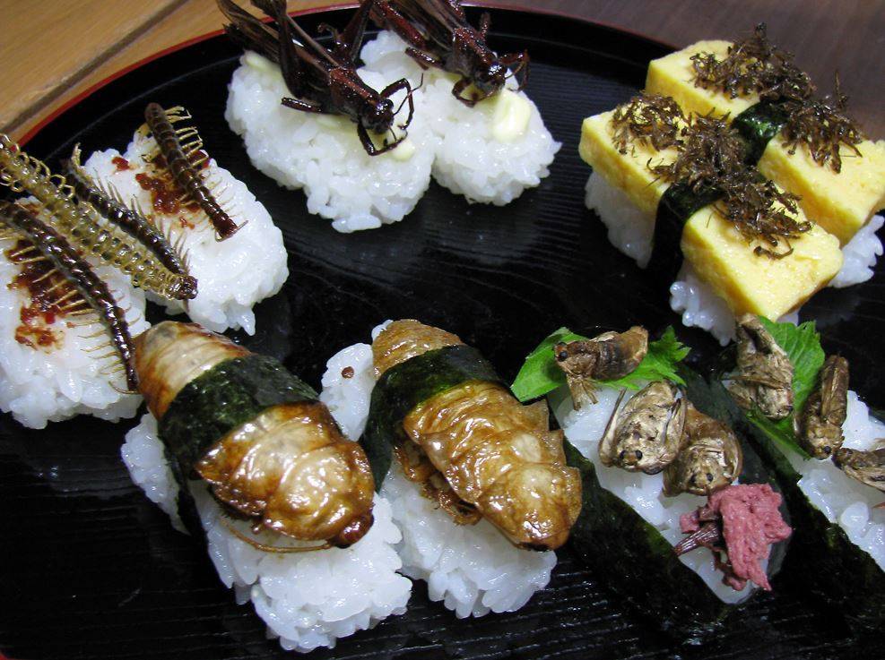 조금 무서운 음식들.jpg | 인스티즈