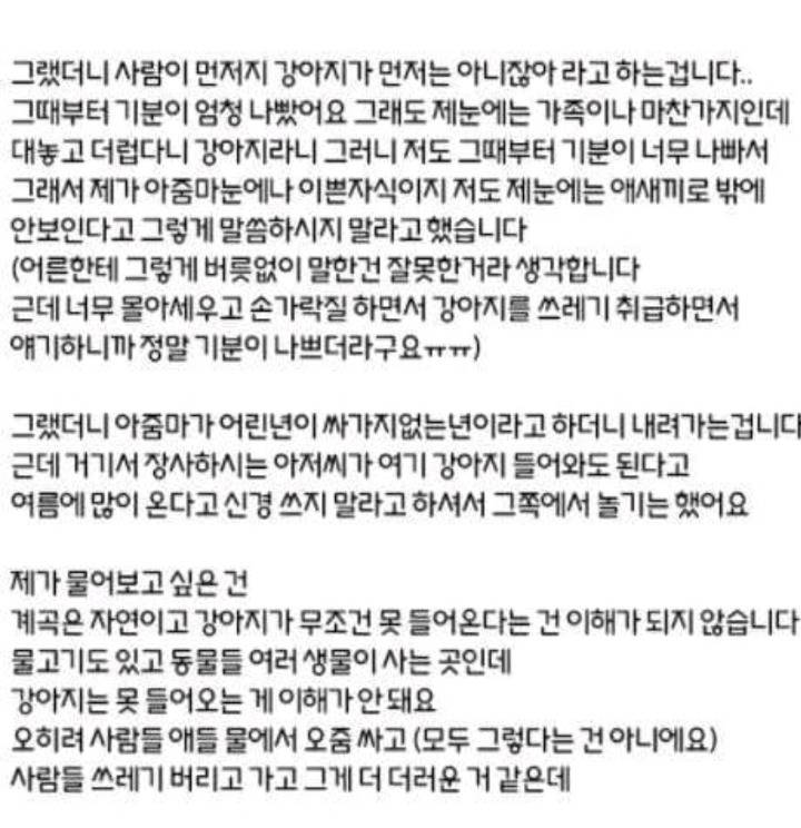 강아지는 계곡에 들어가면 안되나요? | 인스티즈